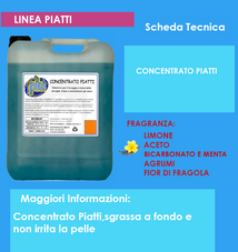 CONCENTRATO PIATTI  1 litro